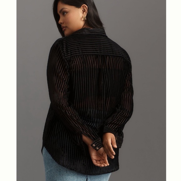 NWT Anthropologie Pilcro Velvet Burnout Long Sleeve Buttondown Blouse 2X - Picture 5 of 13